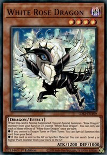 White Rose Dragon