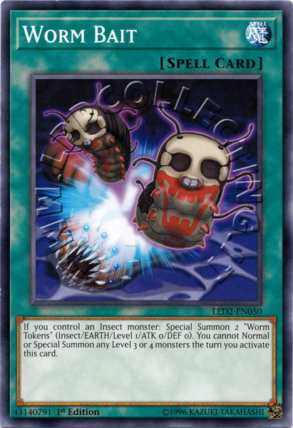 Worm Bait