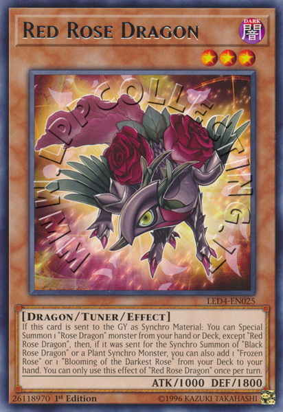 Red Rose Dragon