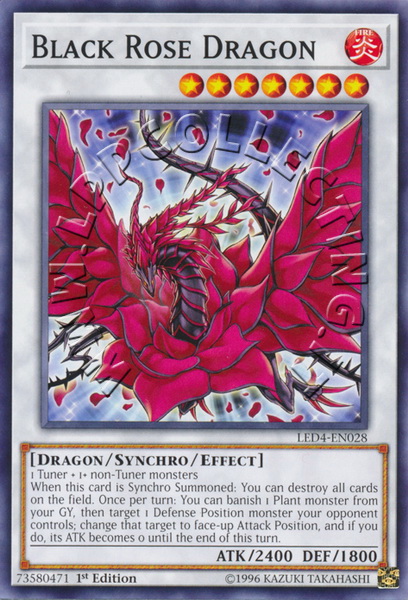 Black Rose Dragon 