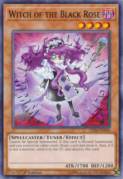 Witch of the Black Rose
