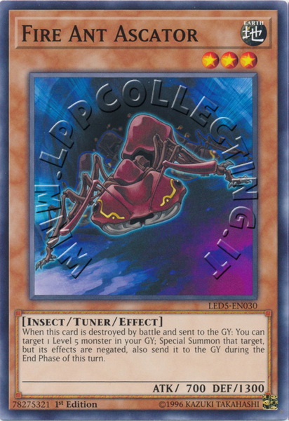 Fire Ant Ascator