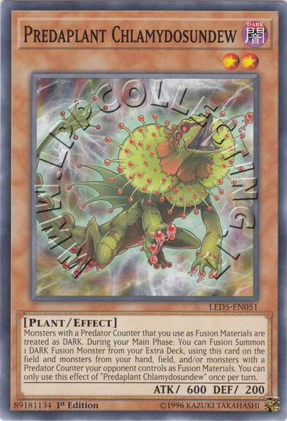 Predaplant Chlamydosundew