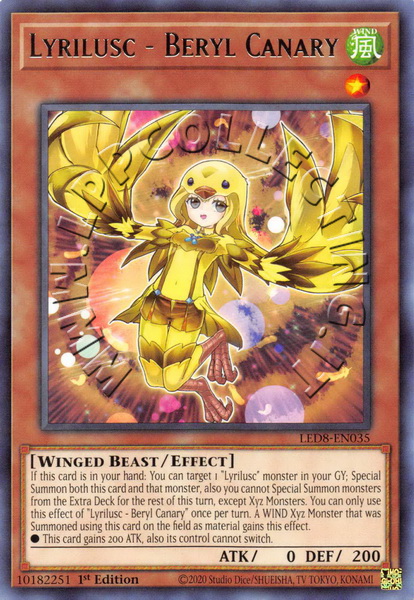 Lyrilusc - Beryl Canary