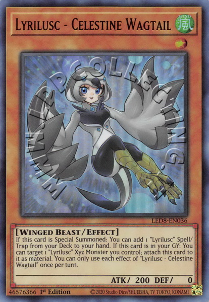 Lyrilusc - Celestine Wagtail