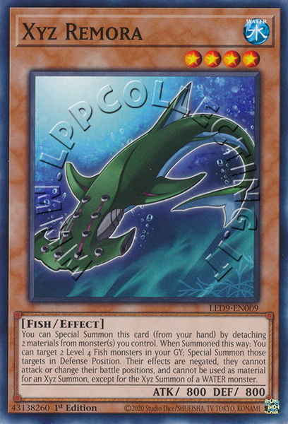 Xyz Remora