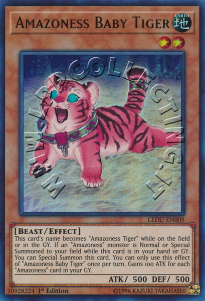 Amazoness Baby Tiger