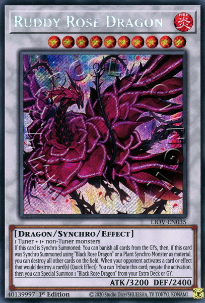 Ruddy Rose Dragon 