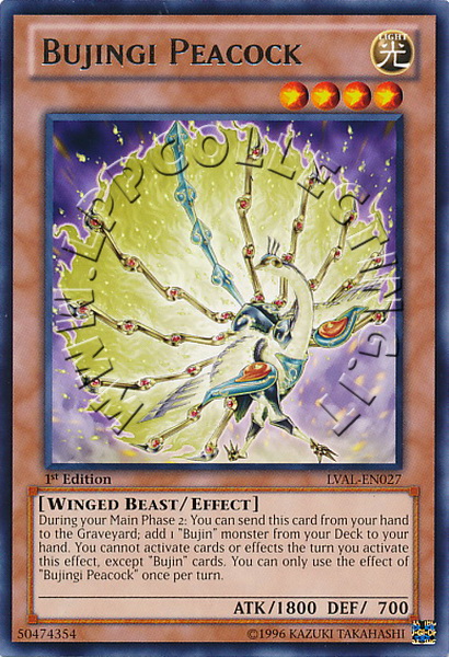 Bujingi Peacock