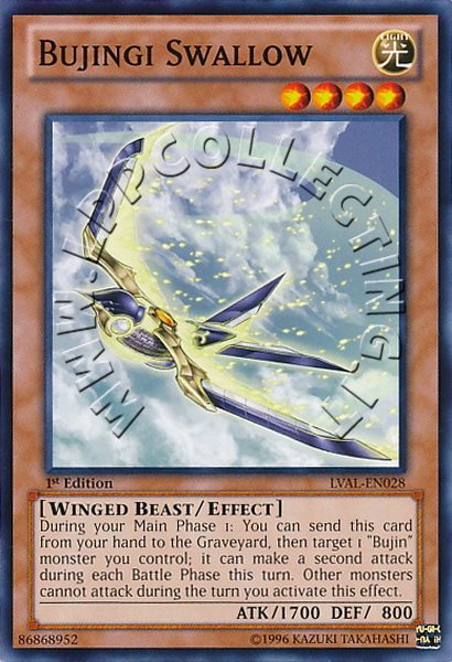 Bujingi Swallow