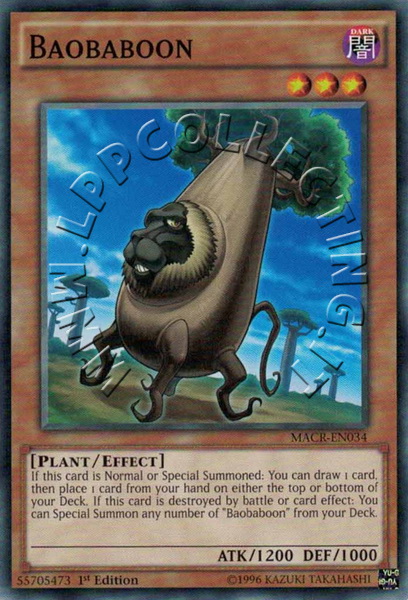 Baobaboon
