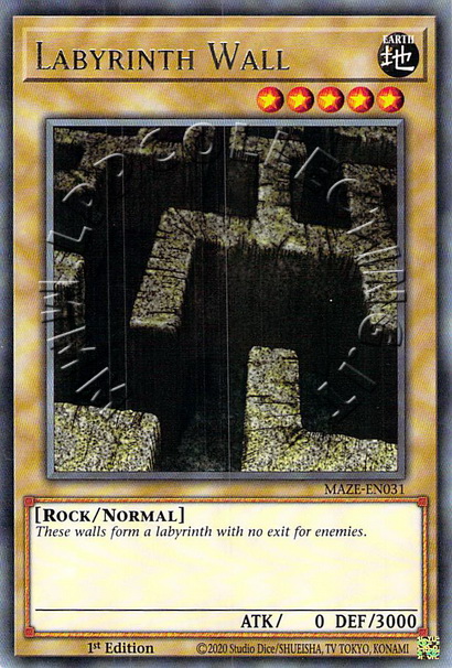 Labyrinth Wall