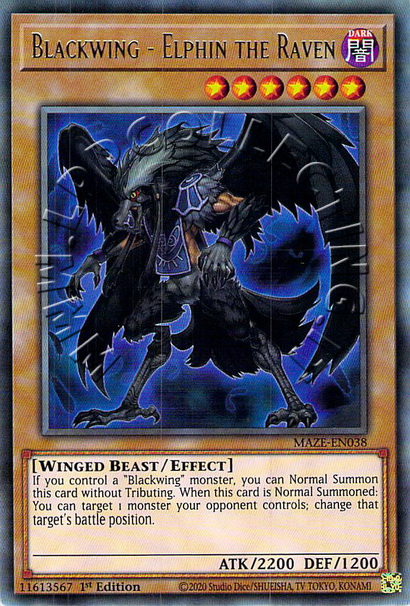 Blackwing - Elphin the Raven