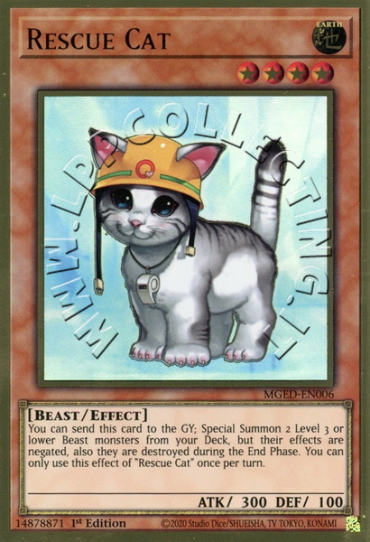 Rescue Cat
