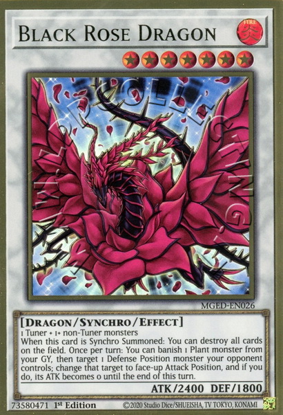 Black Rose Dragon 