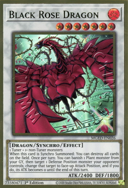 Black Rose Dragon 