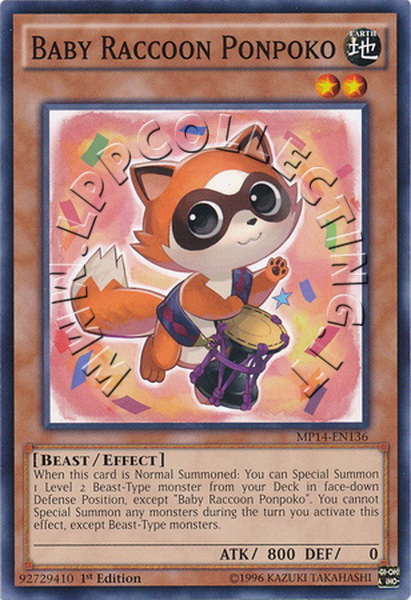 Baby Raccoon Ponpoko