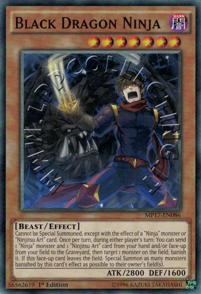 Black Dragon Ninja