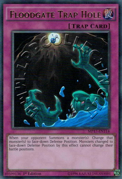 Floodgate Trap Hole
