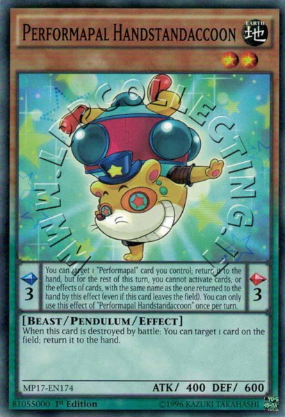 Performapal Handstandaccoon