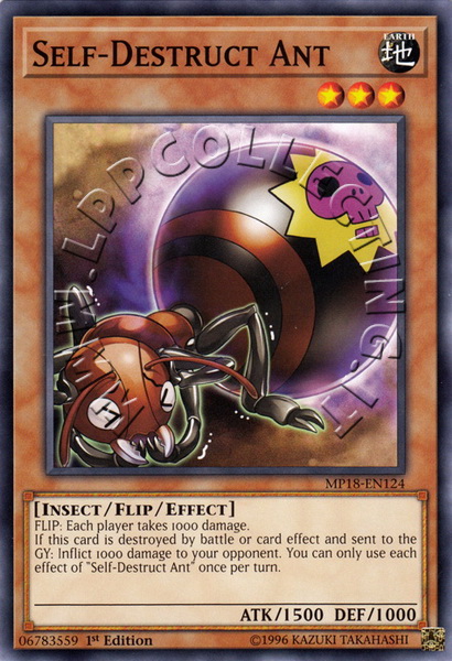 Self-Destruct Ant