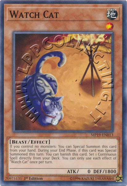 Watch Cat