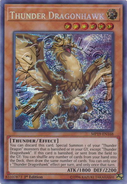 Thunder Dragonhawk