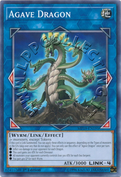 Agave Dragon