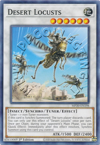 Desert Locusts