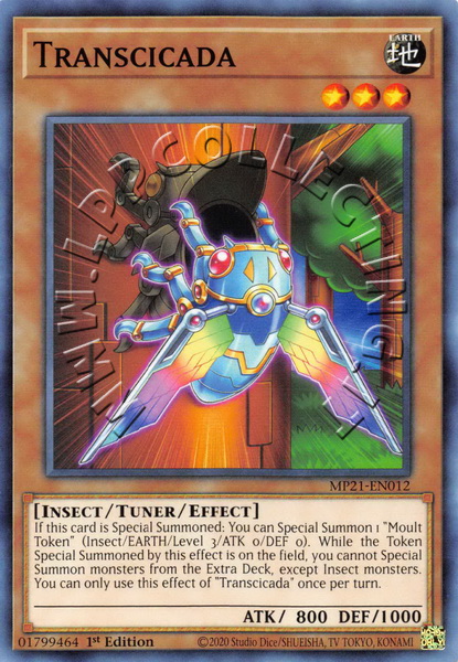 Transcicada
