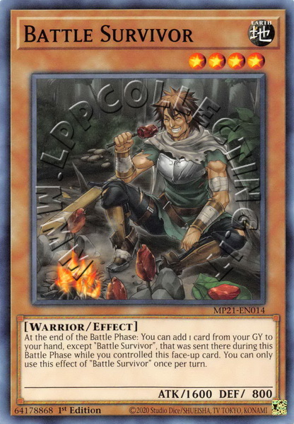 Battle Survivor