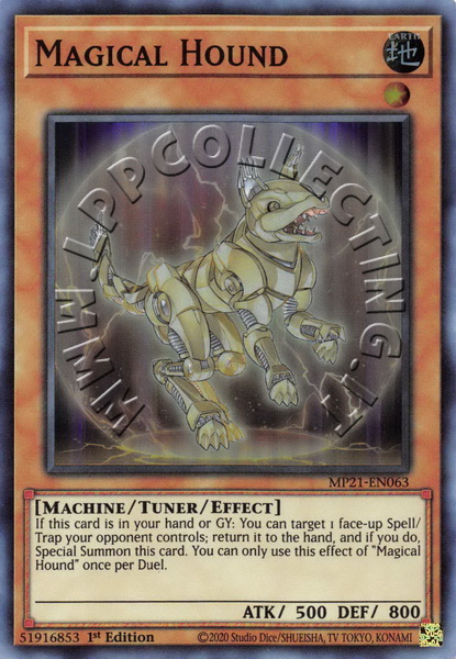 Magical Hound