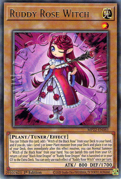 Ruddy Rose Witch 