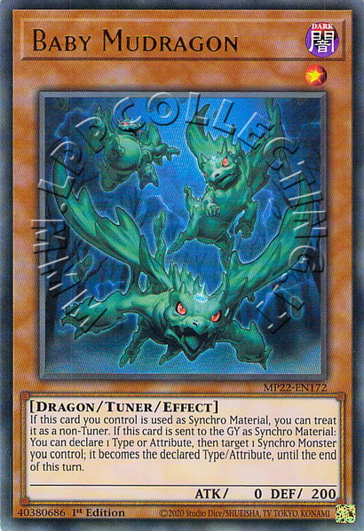 Baby Mudragon