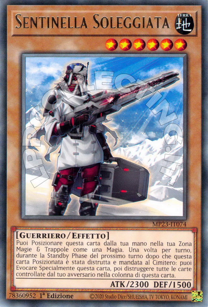 Sunlit Sentinel