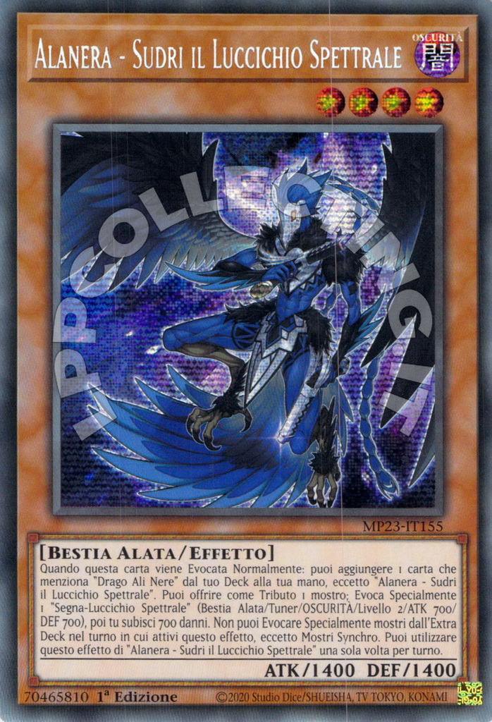 Blackwing - Sudri the Phantom Glimmer