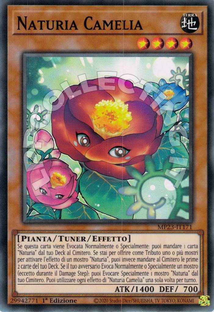 Naturia Camellia