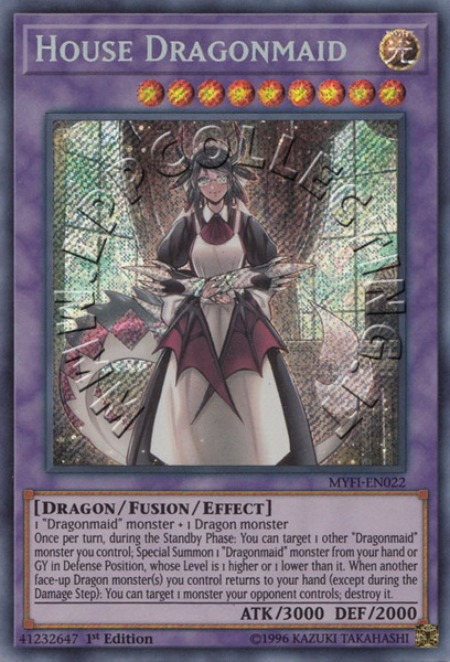 House Dragonmaid