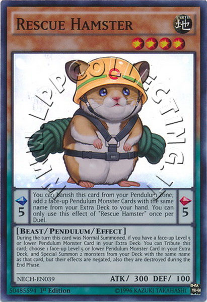 Rescue Hamster
