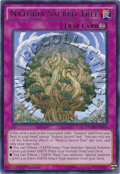 Naturia Sacred Tree