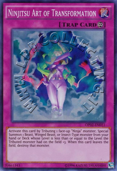Ninjitsu Art of Transformation