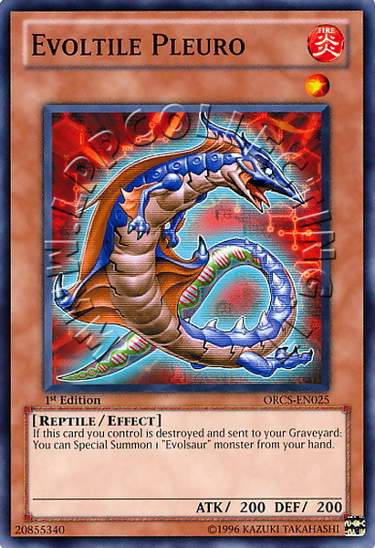 Evoltile Pleuro