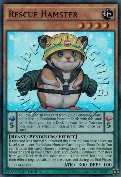 Rescue Hamster