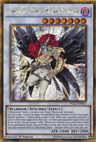 Blackwing Tamer - Obsidian Hawk Joe