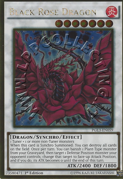 Black Rose Dragon 