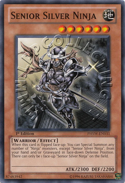 Senior Silver Ninja