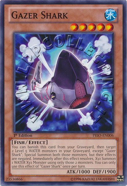 Gazer Shark