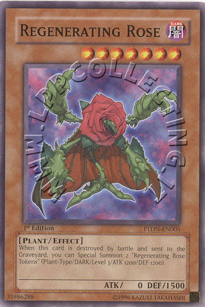Regenerating Rose