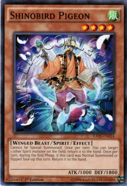 Shinobird Pigeon
