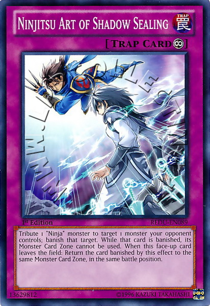 Ninjitsu Art of Shadow Sealing